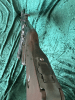Original WW2 Sturmgewehr 44 em EU DECO